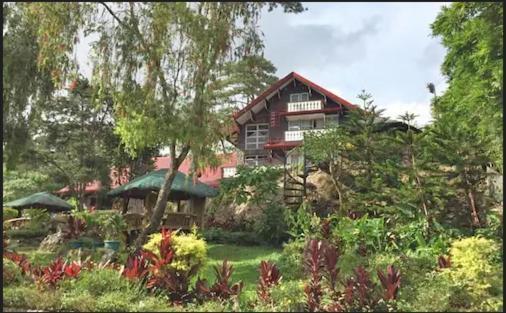 Log Cabin Hotel - Baguio Baguio City Exterior foto